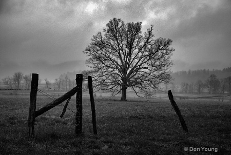 Fog In Cades Cove