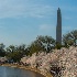 © Bill Currier PhotoID # 14875907: Washington in the Spring