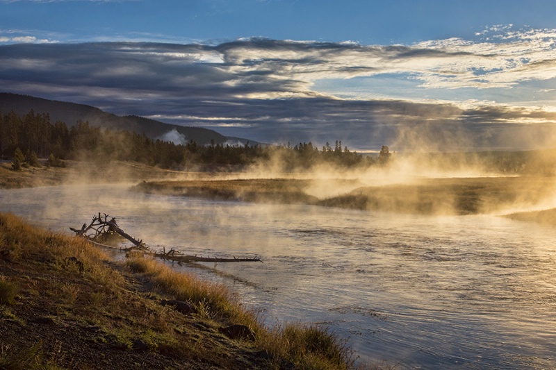 Morning Mist on the Madison River   