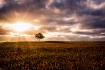 A New Day