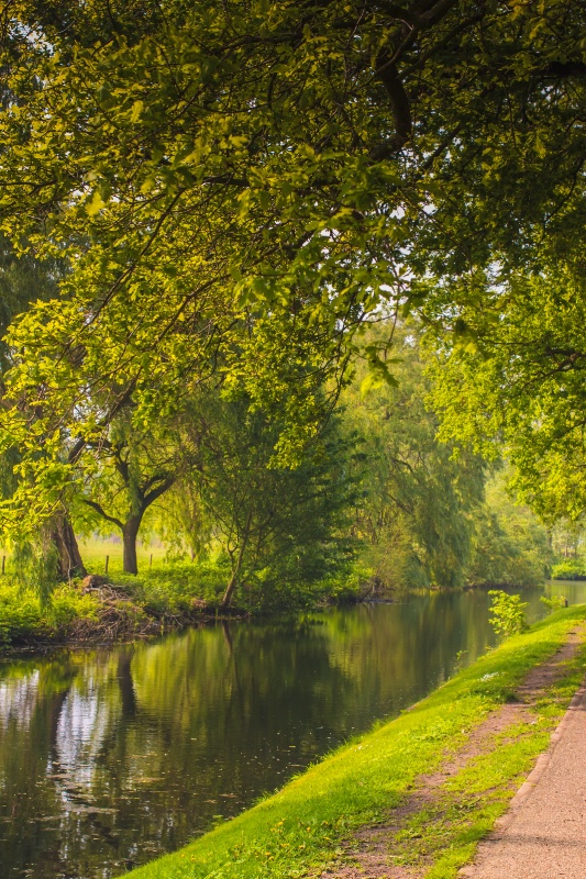 Shady Canal In Holland