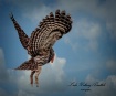 Owl Flying With S...