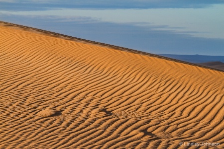 Ripples in the Sand Dune