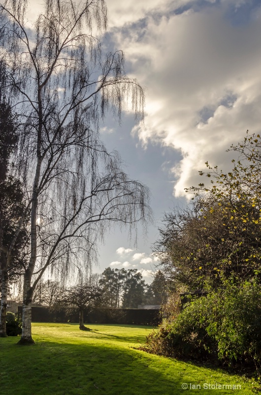 Winter morning at Down House