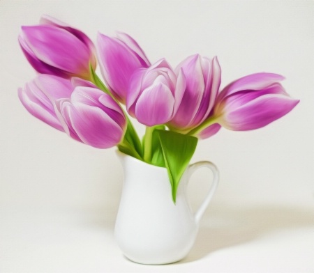 Pitcher of Tulips