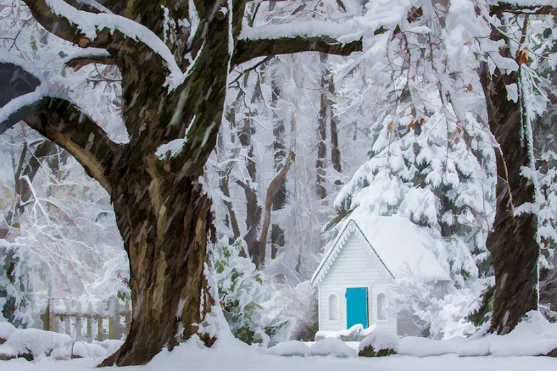 Cabin in the Snow    