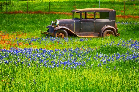 Out to Pasture 