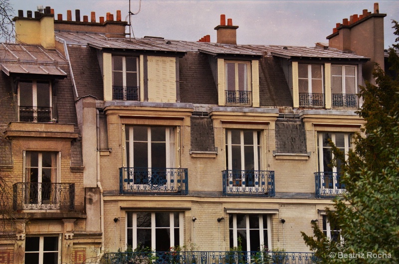 Parisian Windows