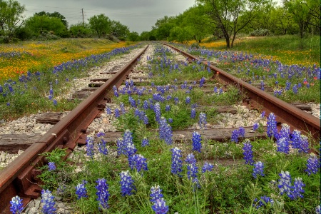 Texas Railroad Track