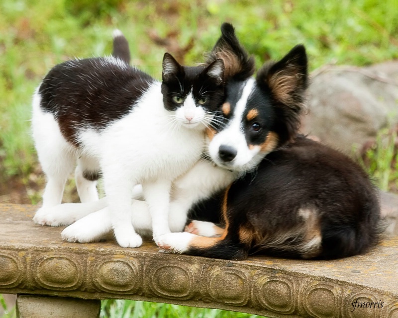 Sharing the Garden Bench