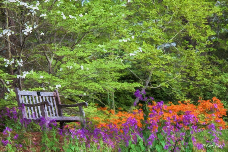 Bench With Flowers; Norfolk Botanical Garden