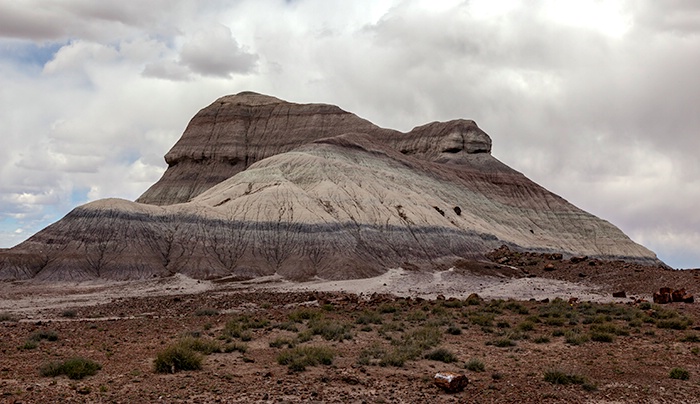 Petrified Forest Storm