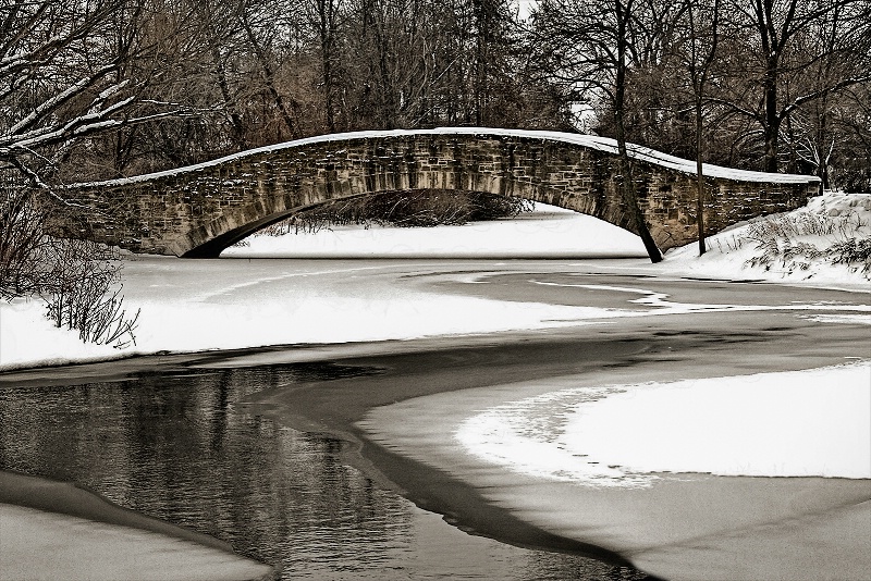 Tenny Park Bridge