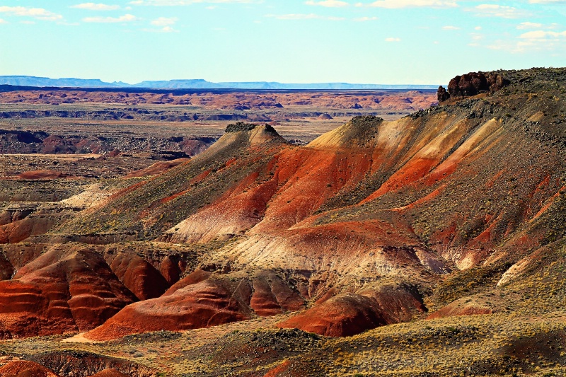 ~ PAINTED DESERT ~