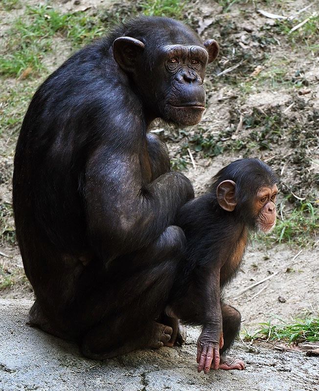 Staying Close To Mom