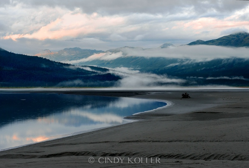 Turnabout Arm, Alaska at low tide