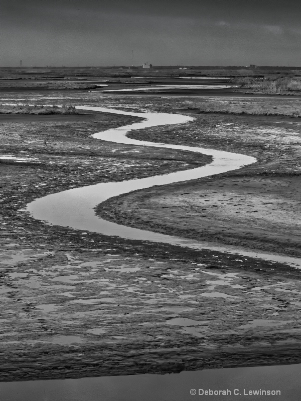 Low Tide