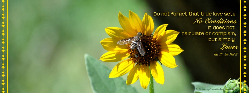 INSPIRATIONAL/SAINT QUOTE FLOWERS FACEBOOK COVER 1