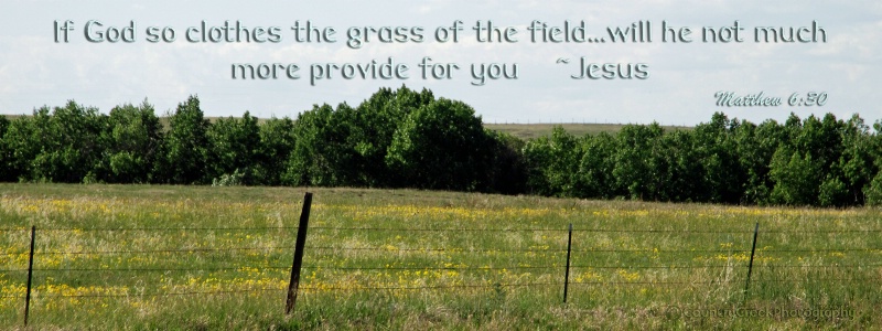 PRARIE FIELD WITH BIBLE QUOTE FACEBOOK COVER 3
