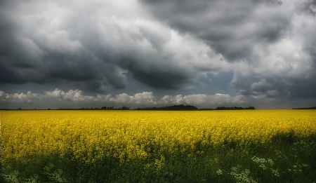 Storm Clouds