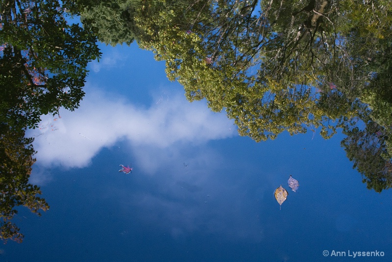 Cloud Reflection