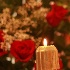 © M. Martha M. Eid PhotoID# 14885219: img 7886