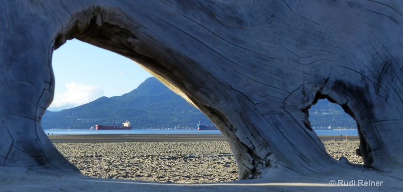 Beach driftwood, Vancouver BC