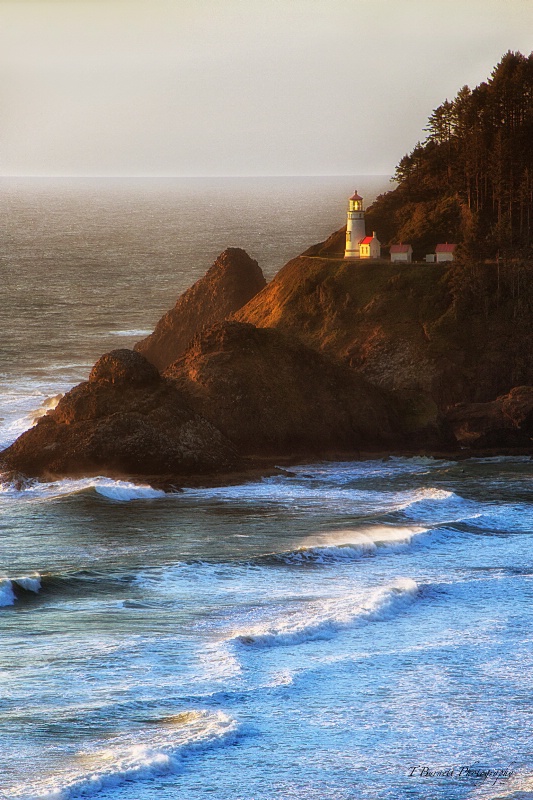 Heceta at Last Light