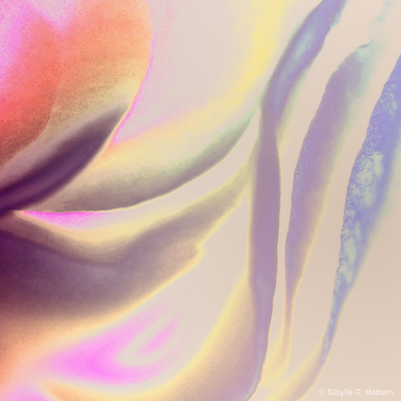 Camellia abstract - ID: 14887443 © Sibylle G. Mattern
