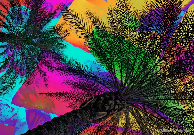 Palm Tree Abstract