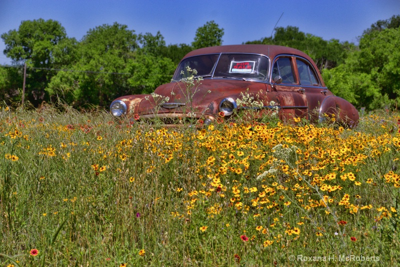 Spring in Texas