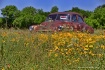 Spring in Texas