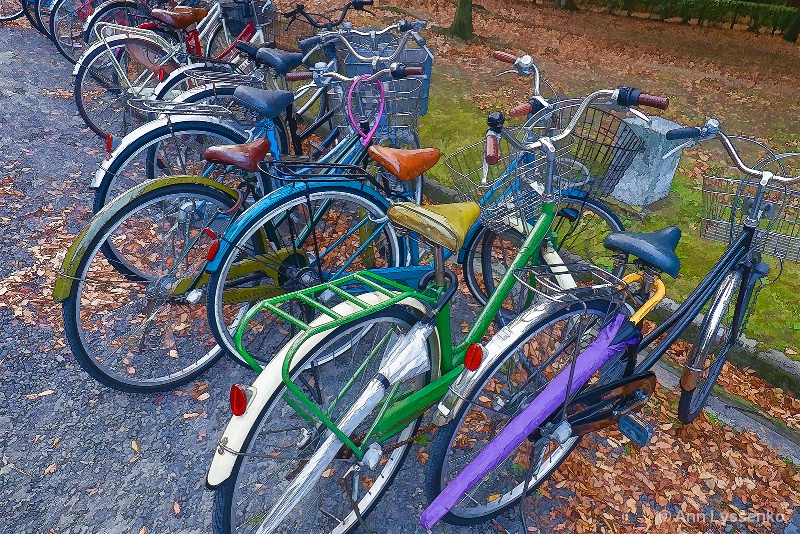 Rainbow Seats