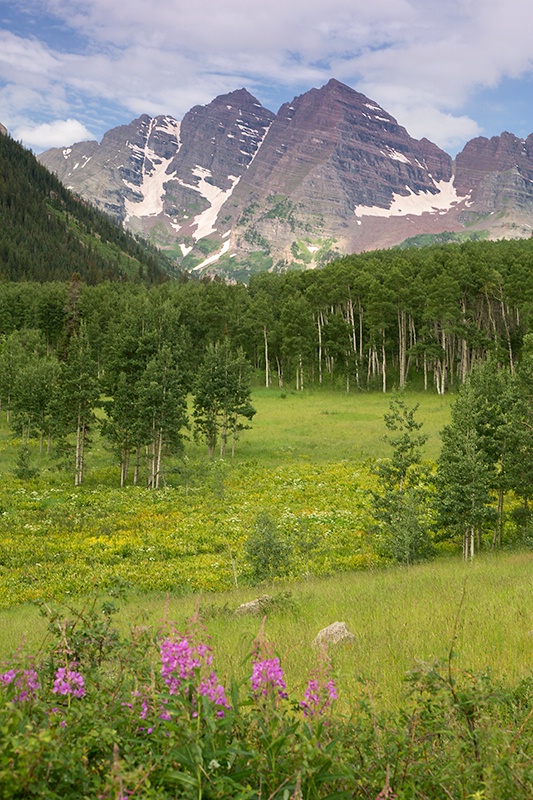 Alpine in the Summer