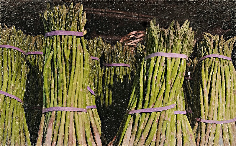 March of the Asparagus (in April)