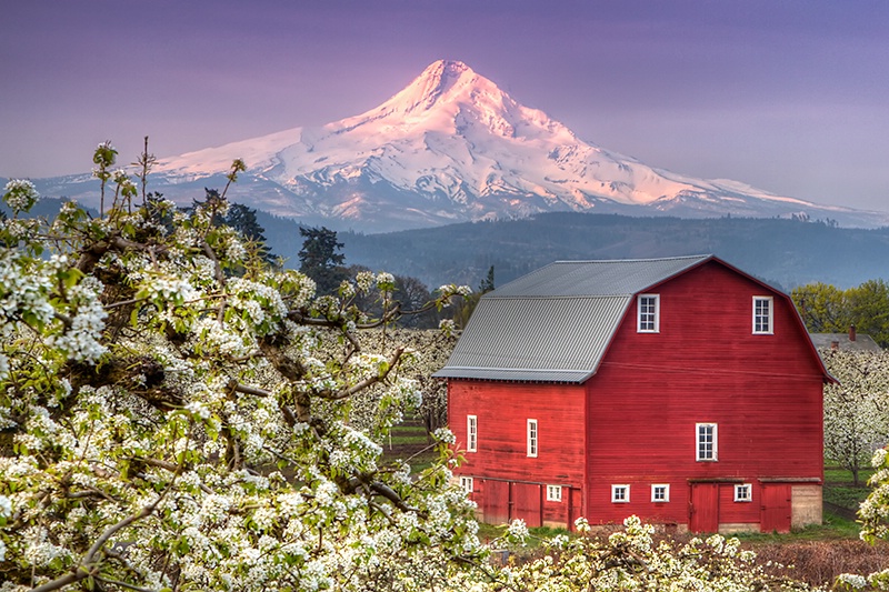 Red Barn