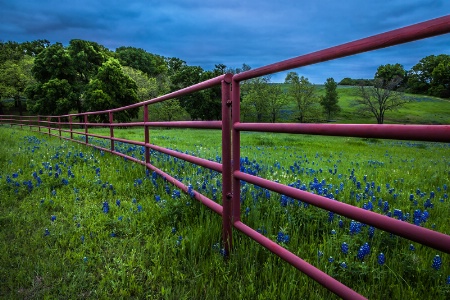 Don't Fence Me In