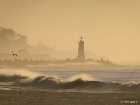 Walton Lighthouse Morning Fog