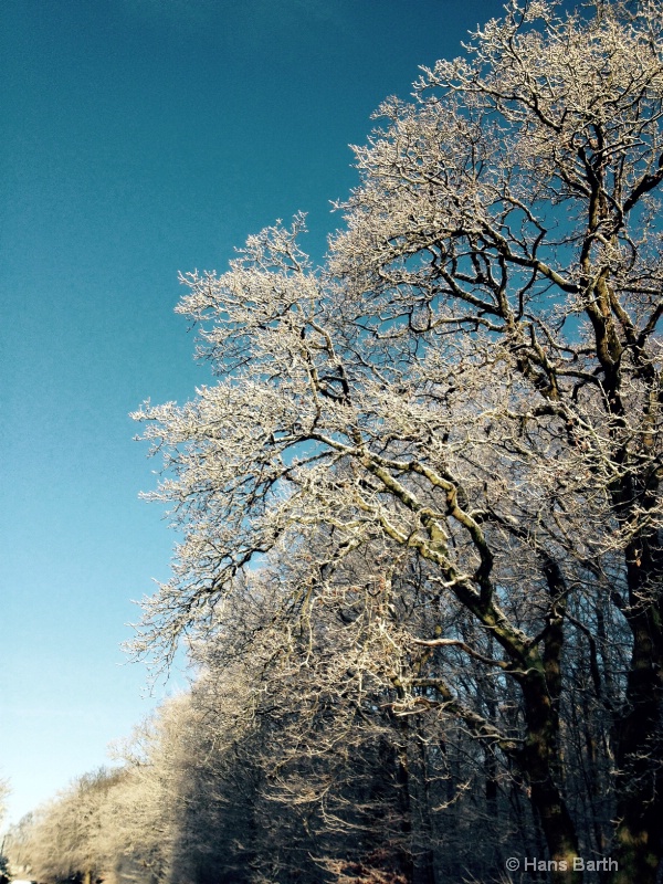 winter in denmark