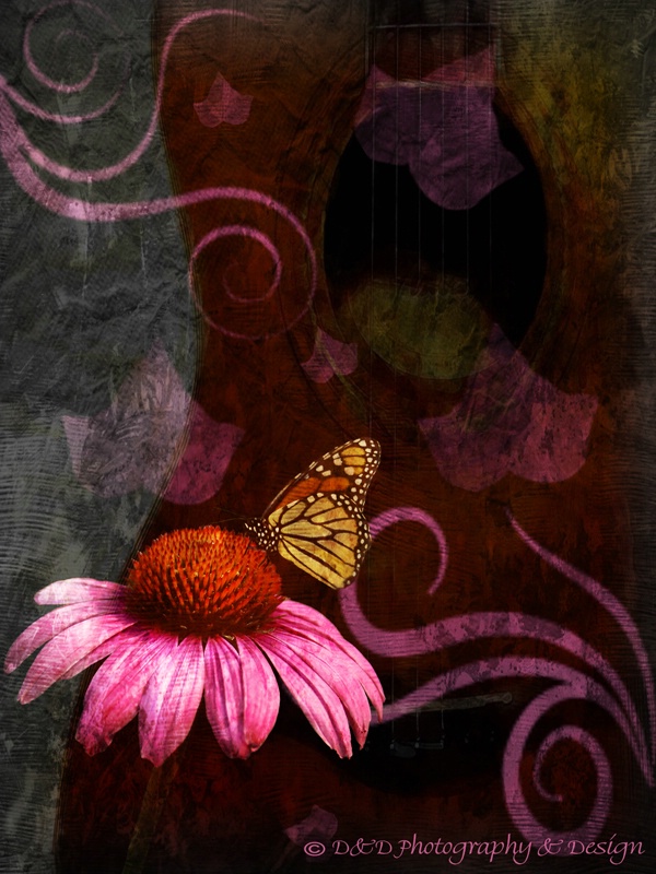 Butterfly & flower