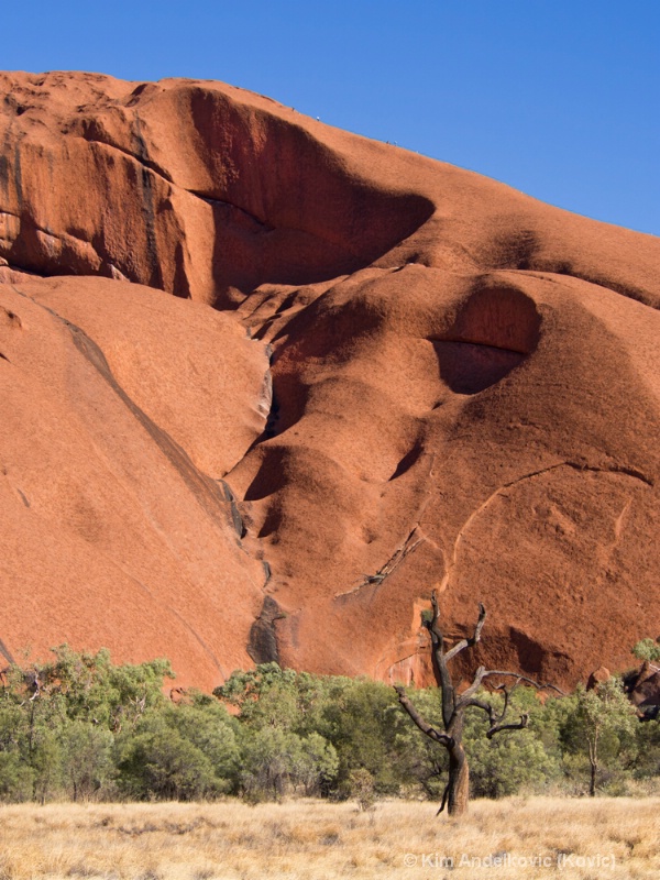 Uluru (Ayers Rock) up close