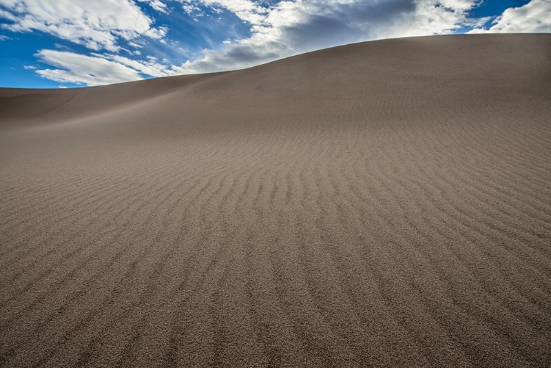 Dune Texture After A Rain
