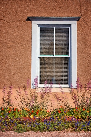 Window in Adobe with Flowers