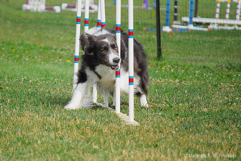 img14