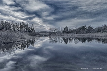 Winter Dawn