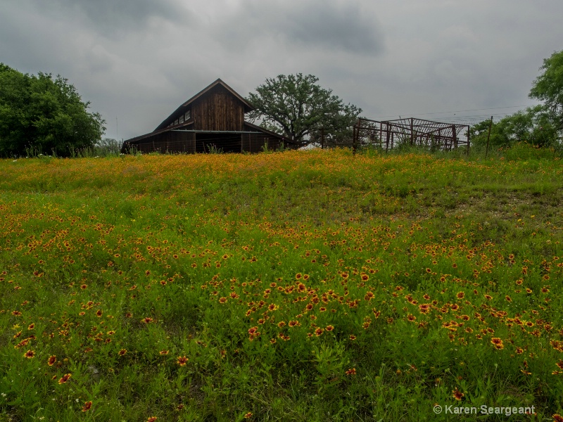 Wildflower Barn