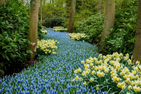 Beautiful Path at the Gardens