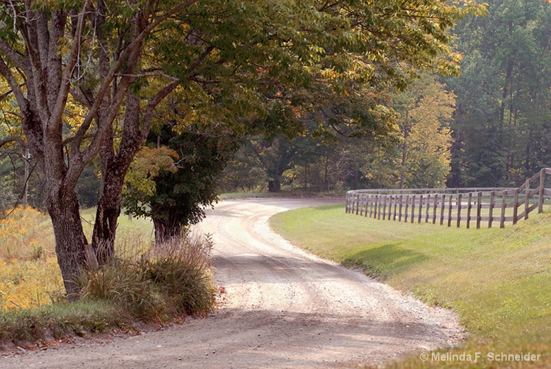 Stroll Through Vermont