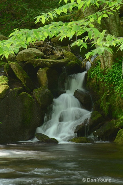 Mannis Falls