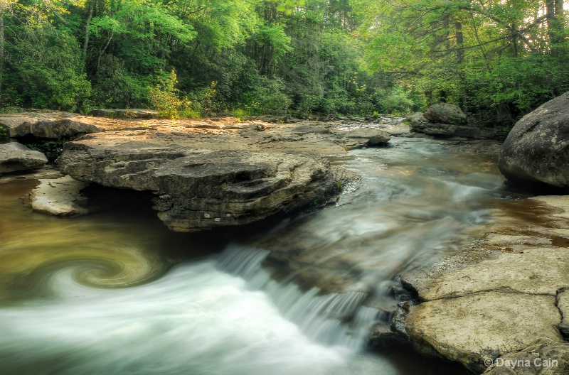 Spring on Jellico Creek